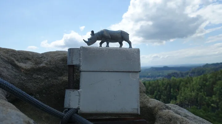 Gipfelbuchkassette mit Nashornfigur | © Ava Schleiff